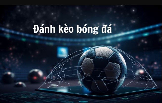 Những sai lầm thường gặp khi chọn tỷ lệ kèo bóng đá 7 Những sai lầm thường gặp khi chọn tỷ lệ kèo bóng đá