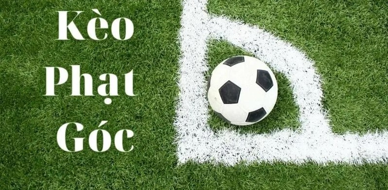 Tìm hiểu về tỷ lệ kèo bóng đá phạt góc thơm nhất 10 Tìm hiểu về tỷ lệ kèo bóng đá phạt góc thơm nhất